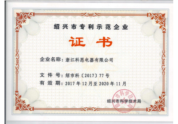 紹興市專利示范企業